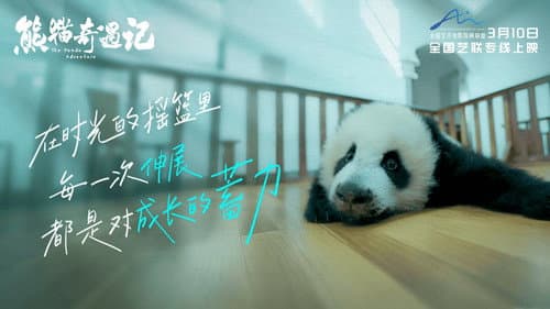 熊猫奇遇记 Bild 1