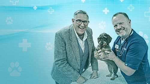 The Dog Hospital with Graeme Hall Bild 2