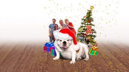 A Bulldog for Christmas Bild 2