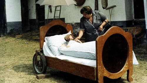 Slunce, seno, jahody Bild 1