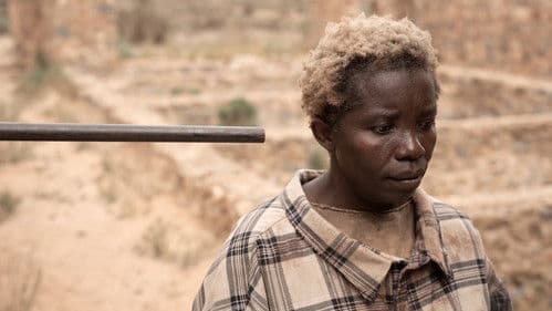 The Survival of Kindness Bild 5