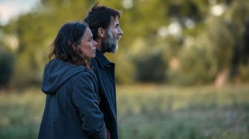 Los destellos Bild 5