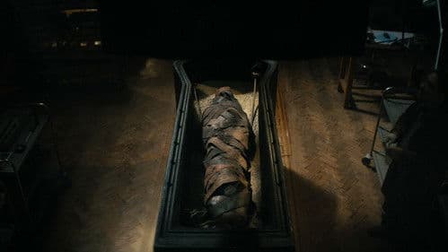 Lee Cronin's The Mummy Bild 3
