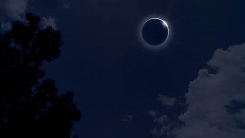 Syndromes and a Century - Licht des Jahrhunderts Bild 4