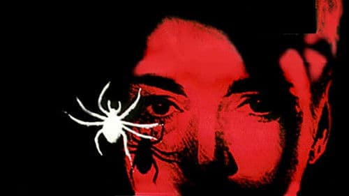 Die weiße Spinne Bild 2