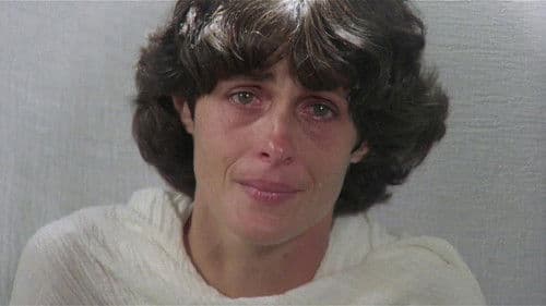 The Enchanted Bild 4