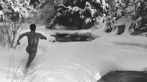 Hallelujah the Hills Bild 2