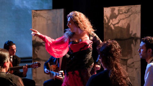 Flamenco Flamenco Bild 2