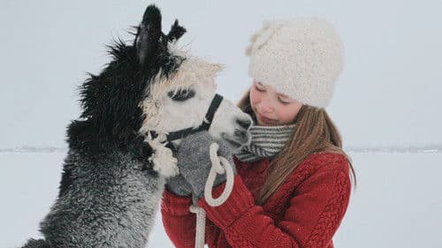 Les adieux de la Grise Bild 1