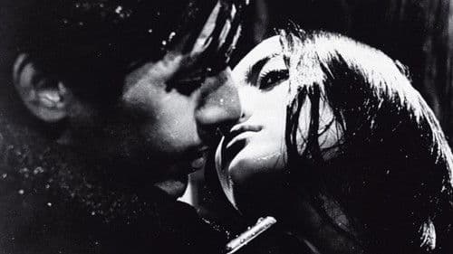 Branded to Kill Bild 2