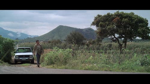 Lo contrario de la muerte Bild 1