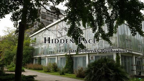 Hidden Face Bild 2