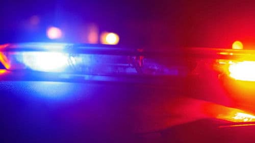 Policie v akci Bild 1