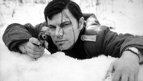 Проверка на дорогах Bild 3