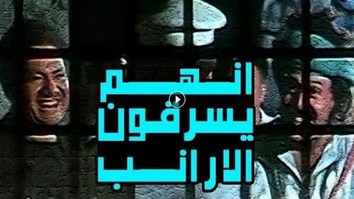 إنهم يسرقون الأرانب Bild 2