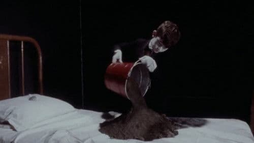 The Grandmother Bild 4