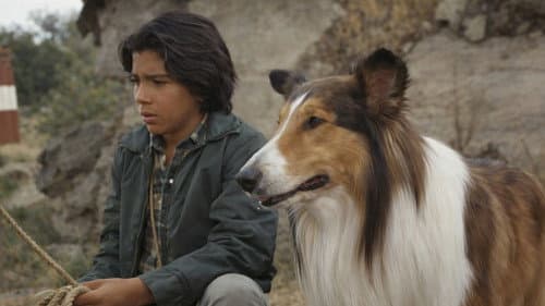 Lassie und ihr Freund Neeka Bild 1
