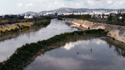 γέννημα θρέμμα Δεντροπόταμος Bild 2