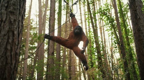 That's Andrew Lyons Bild 5