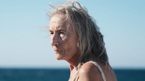 ΠΙΤΥΛΟΣ Bild 2