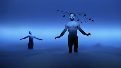 Adam's Passion Bild 5
