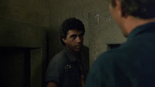 Паспорт Bild 8