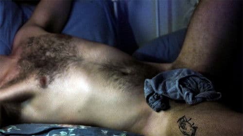 O Bando Sagrado Bild 1