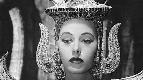 Lady in den Tropen Bild 3