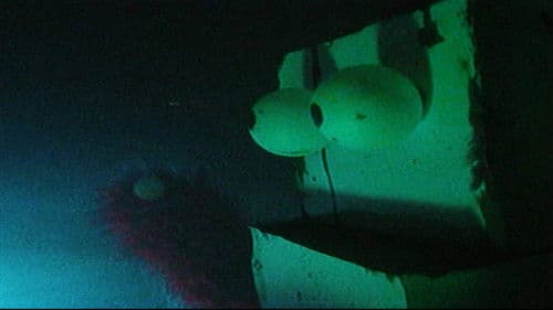 Public Access Limited Bild 1