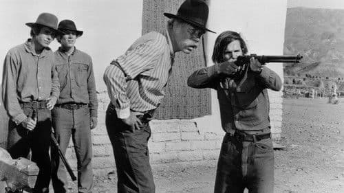 Vier Vögel am Galgen Bild 1