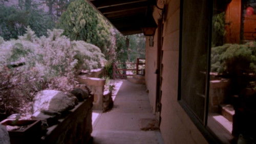 Pulsating Flesh Bild 1