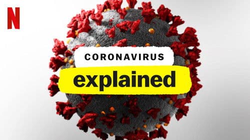 Coronavirus, Explained Bild 3