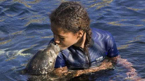 S.O.S. - Ein spannender Sommer Bild 2