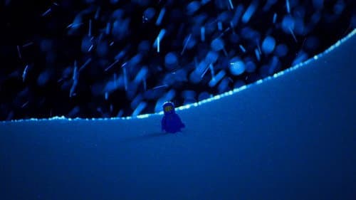 Lost Cosmonauts Bild 1