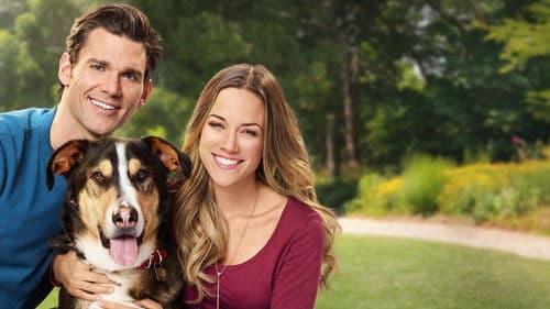 Love at First Bark Bild 2