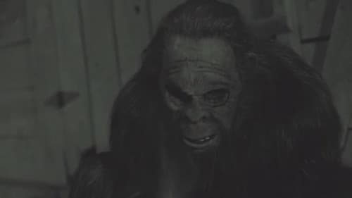 Something in the Woods Bild 2