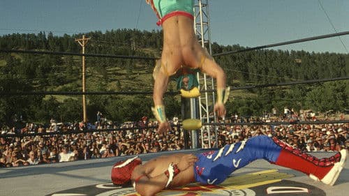 WCW Hog Wild 1996 Bild 1