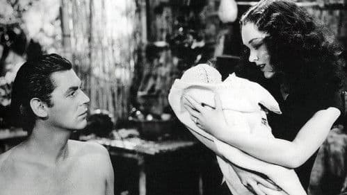 Tarzans Abenteuer in New York Bild 7