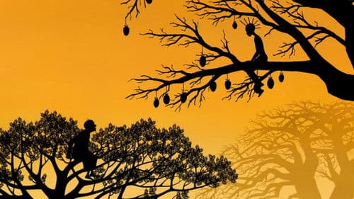 Dragons et Princesses Bild 6