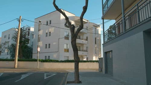 Con Vistas al Mar Bild 1