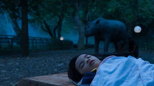 Die Nacht der Giraffe Bild 2