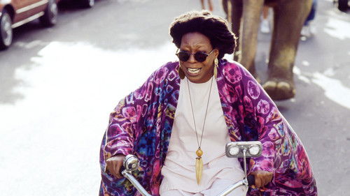 Made in America Bild 5