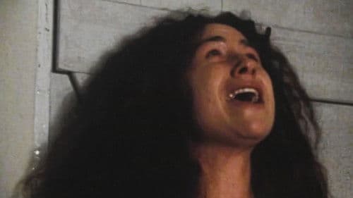 Mr. Wroe's Virgins Bild 2