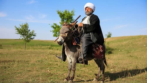 Nasreddin Hoca Bild 2