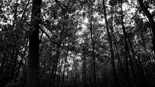 Christiaan Hesen Bild 1