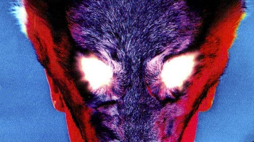 Träume des Wahnsinns Bild 2