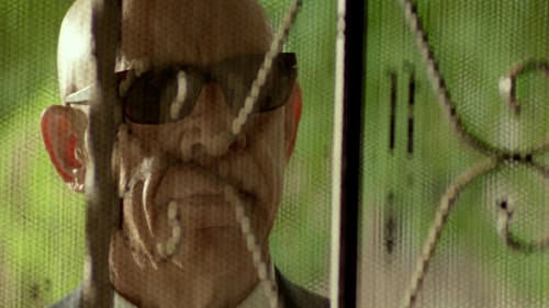 The Runaround - Die Nachtschwärmer Bild 7