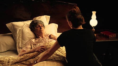 Los tontos y los estúpidos Bild 1