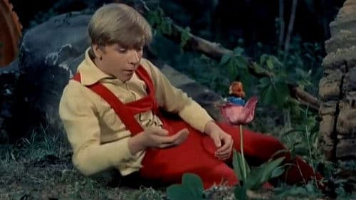 Der Tagträumer Bild 4