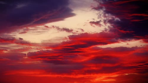 Το Μοναχικό Καλοκαίρι της Ελευθερίας Bild 1